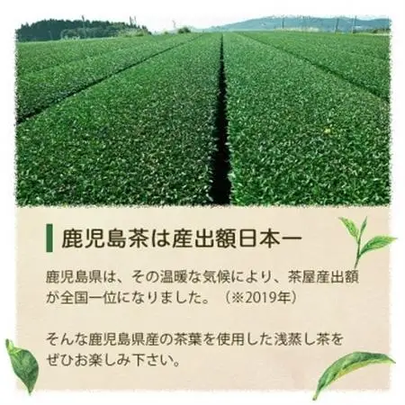 【2026年5月以降発送】浅蒸し煎茶(100g×3袋)【若蒸し煎茶 】【合計300g】 A3-5_飲料・ドリンク 茶葉・ティーバッグ 茶 _【配送不可地域：離島】【1496114】