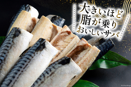 訳あり 塩サバ 3kg [宮城県 気仙沼市 20564146] サバ