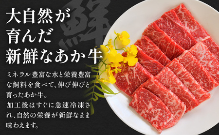 阿蘇あか牛 モモ 合計約500g 約100g×5袋 株式会社LARKS《30日以内に出荷予定(土日祝除く)》お肉 和牛 あか牛 焼肉 熊本県産 九州産 国産 冷凍 送料無料