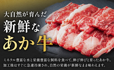 阿蘇あか牛 上カルビ 合計約500g 約100g×5袋 株式会社LARKS《30日以内に出荷予定(土日祝除く)》お肉 和牛 あか牛 焼肉 熊本県産 九州産 国産 冷凍 送料無料