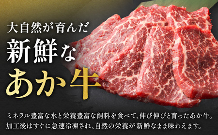 阿蘇あか牛 上ロース 合計約500g 約100g×5袋 株式会社LARKS《30日以内に出荷予定(土日祝除く)》お肉 和牛 あか牛 焼肉 熊本県産 九州産 国産 冷凍 送料無料