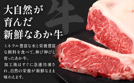 阿蘇あか牛 サーロイン 合計約500g 約100g×5袋 株式会社LARKS《30日以内に出荷予定(土日祝除く)》お肉 和牛 あか牛 ステーキ 熊本県産 九州産 国産 冷凍 送料無料