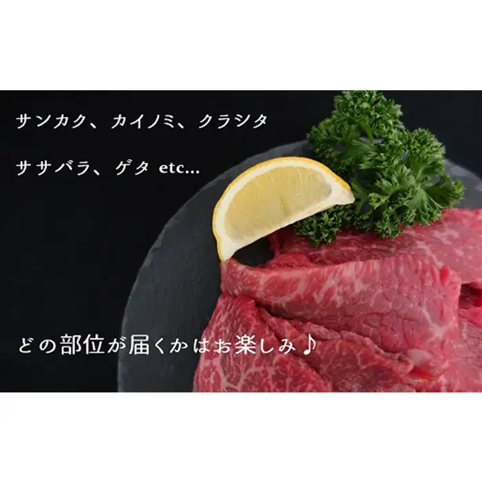 松川牧場のこだわり牛肉　BBQ・焼肉セット 500g ロース部位から1パック カルビ部位から1パックお届け 松川牧場 No.031