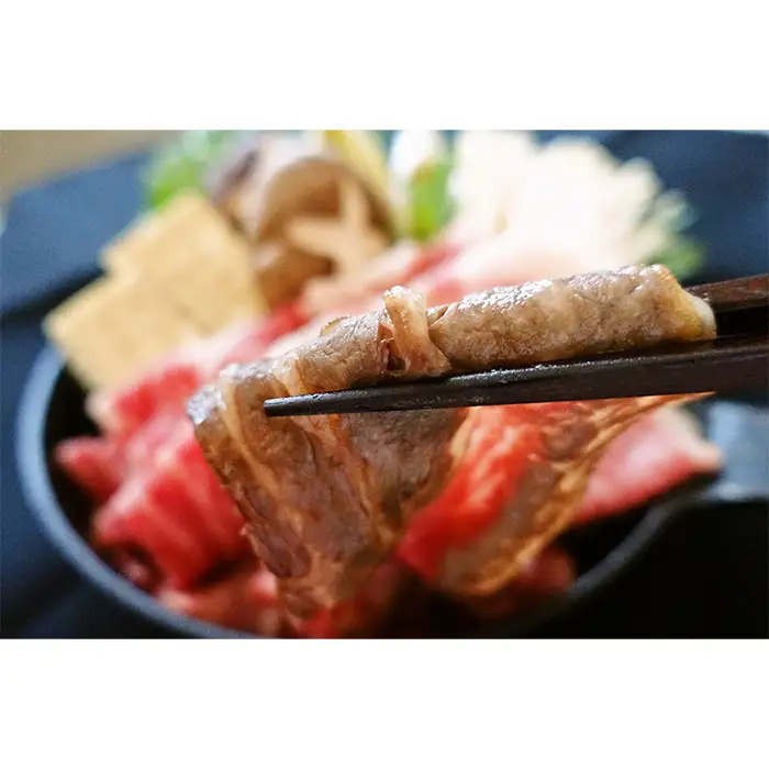 松川牧場のこだわり牛肉 バラエティ定期便 隔月計5回 〈限定10組/種類おまかせ〉 No.216