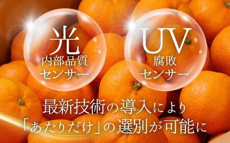 ＼光センサー選別／極 有田みかんプレミアム 約5kg【選りすぐりの上位20％をお届け】2S～Lサイズ 有機質肥料100% ※2026年11月～2027年1月に順次発送予定 ※北海道・沖縄・離島への配送不可 オレンジ 有田みかん みかん みかん みかん フルーツ【nuk155G】