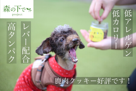 【大切な愛犬に】鹿肉クッキー4袋 (犬 おやつ ペット用品