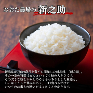 令和7年産 新潟県上越産 特別栽培米 新之助  5kg 5キロ 精米 しんのすけ おおた農場 上越市