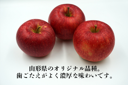 【2026年発送】「秀品」山形のりんご（秋陽）約3kg_H167(R8)