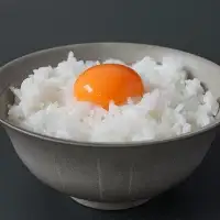 【3カ月定期便】希少品種　岡崎おうはん 紅花の卵 40個×3回【冷蔵配送】 / 田辺市 卵 たまご 有精卵 純国産鶏 鶏卵 平飼い お取り寄せ 卵かけごはん 和歌山県 【kag011-tk】