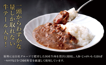 牛テール カレー セット レトルト 常温(170g × 6パック 計 1,020g) ビーフカレー 肉 牛 レトルトカレー レトルト食品 ギフト 常温 常温保存 常備食 保存食 防災 備蓄 非常食 防災食 簡易包装 送料無料
