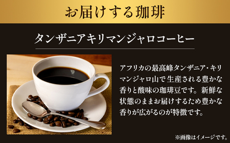 タンザニア キリマンジャロコーヒー 500g 豆 ドリップバッグ 1袋 