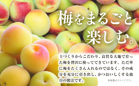 チョーヤ 五年の宴700ml×1本 