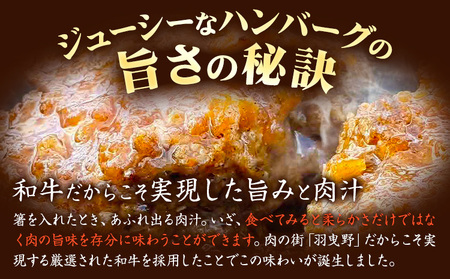 ローストビーフとハンバーグの詰め合わせ