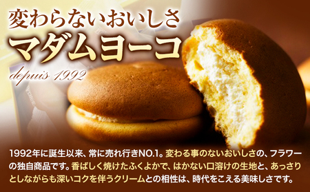 お菓子 マダムヨーコ 60g × 10個