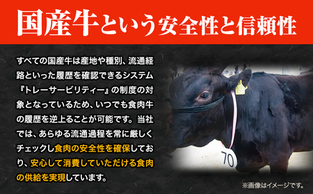 萬野総本店 国産 黒毛和牛 あみ焼用 計約800g