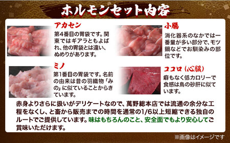 萬野総本店 ホルモン 国産牛 ホルモン 詰め合わせ 約600g
