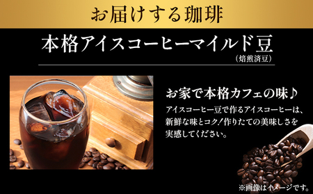 本格アイスコーヒーマイルド豆 500g 豆 ドリップバッグ 1袋 