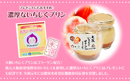 大阪いちじくプリン 100g×5個入り