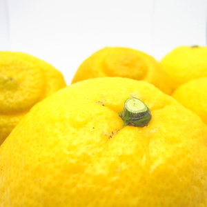 【2027年1月以降発送】訳ありみかん はるか 3kg+200g（痛み補償分） 有田みかん【ard141B】