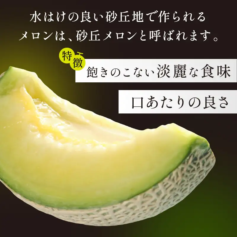 【メロン】 砂丘メロン 2L以上 2玉 【大玉】