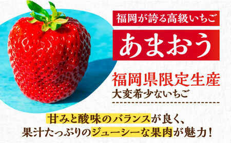 【先行予約】【1月発送】あまおう 贈答用 エクセレント 430g以上×1箱 [VAB009]果物 いちご あまおう