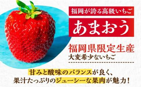【先行予約】【2月-4月発送】農家直送 あまおう 厳選デラックスG 540g(270g以上×2P) 土耕栽培[VAB015]