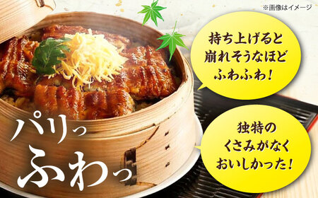 国産うなぎ蒲焼 鰻大3尾 480g[VAD003] 鰻