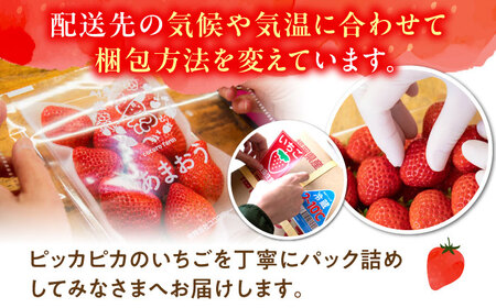【先行予約】ココロファームの濃厚あまおう 270g×4パック[VAE022]