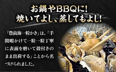 【先行予約】豊前海一粒かき 2kg+かきナイフ付き[VAG013] 牡蠣