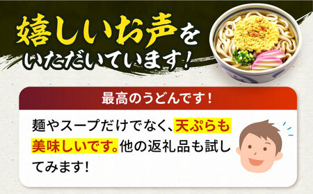 【全3回定期便】天ぷら うどん 12食[VAI055]うどん 天ぷらうどん 天ぷら 麺 麺類