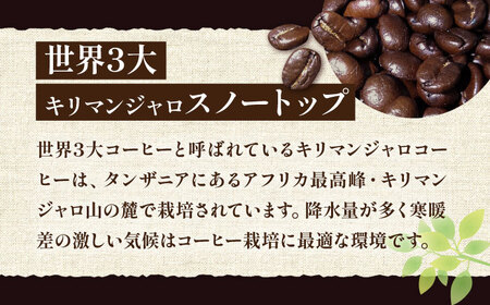 キリマンジャロコーヒー 2種飲み比べ[VAS121] コーヒー
