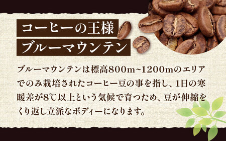 【全6回定期便】ブルーマウンテン NO.1 ブレンド コーヒー ( 浅煎り )[VAS168] 珈琲 コーヒー 