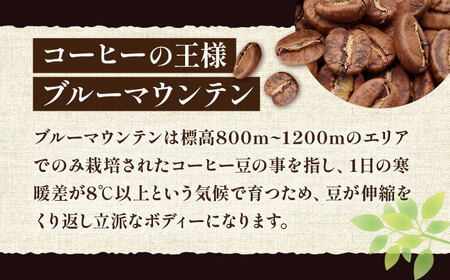【全12回定期便】ブルーマウンテン NO.1 ブレンド コーヒー ( 浅煎り )[VAS169] 珈琲 コーヒー 