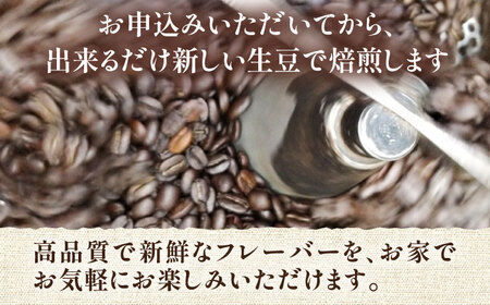【全6回定期便】ベーシック ブレンド コーヒー 500g×2 ( 中煎り ) [VAS198]珈琲 コーヒー 