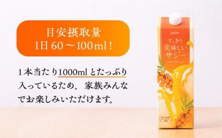 【全2回定期便】すっきり美味しい サジー 6本 [VAX047]