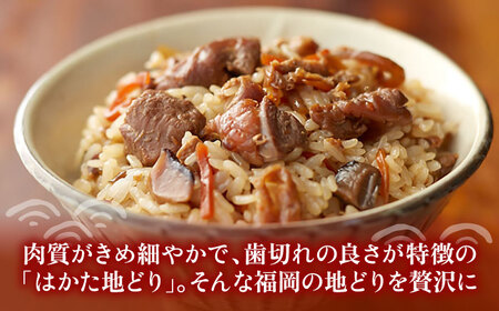 【全6回定期便】地どり飯の素 セット 190g×3袋 [VBA024]ご飯の素 地鶏飯 炊き込みご飯の素
