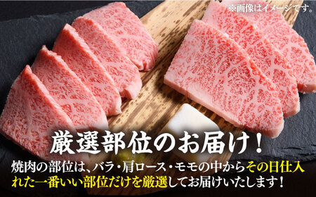 博多和牛 焼肉 500g [VBB002] 焼き肉 牛肉 焼肉用 小分け