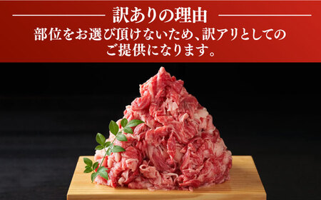 博多和牛 切り落とし 5kg [VBB026] 牛切り落とし 大容量