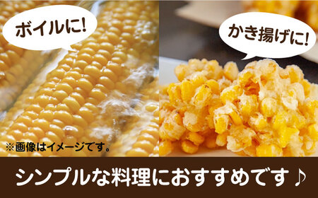 【先行予約 2026年6月頃より順次発送】農家直送 朝どれ スイートコーン 白 黄 食べ比べ セット 約4kg 9-12本入[VBC002] 野菜 コーン