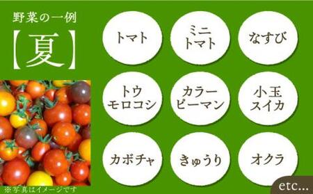 【全12回定期便】農家が選ぶ！ 旬の新鮮野菜セット[VBE010]産直 野菜 やさい 詰め合わせ