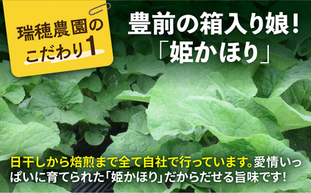 焙煎 ごぼう茶 ティーパッグ3g×20包 & 粉末タイプ80g [VBG006] ティーパック