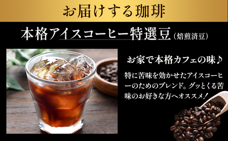 本格アイスコーヒー特選豆 500g 挽 ドリップバッグ 1袋