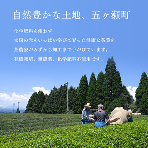 無農薬・化学肥料不使用　百姓番茶（釜炒り茶）２袋セット
