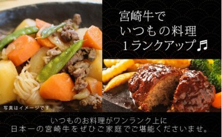 宮崎牛　こま肉＆ミンチセット＜合計１㎏＞（こま肉４００ｇ・ミンチ６００ｇ）