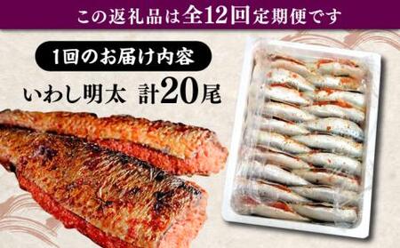 【全12回定期便】ピリ辛 いわし明太20尾[VCL080]
