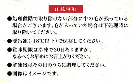 【全12回定期便】【化粧箱入】博多和牛 牛すじ切落し 1kg[VCL116]