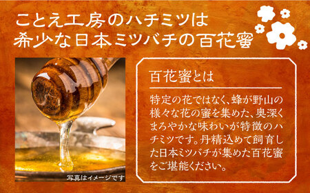 日本ミツバチの蜂蜜(ギフトセット150g×2本)[VCM001] 蜂蜜 はちみつ ハチミツ