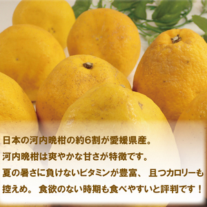 【順次発送中】 訳あり 河内晩柑 サイズ不揃い 約4kg 【VEG0291】