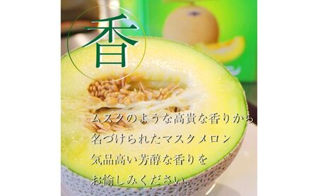 【偶数月6ヶ月定期便】クラウンメロン【並（白等級）】小玉（1.1kg前後）6玉入り 