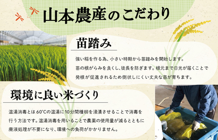 三重県産 山本農産のお米（コシヒカリ）の定期便 5kg×3回 yn5